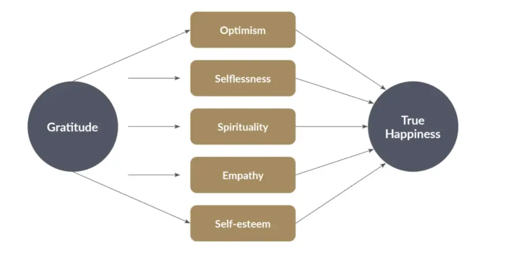 Effects of Gratitude