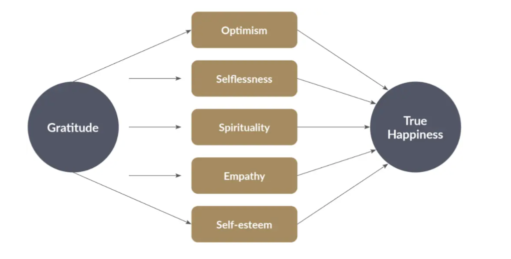 Effects of Gratitude