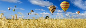 Hot Air Balloons