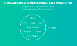 multilingual support