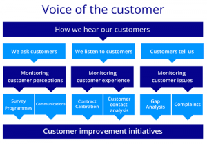 Voice of the customer