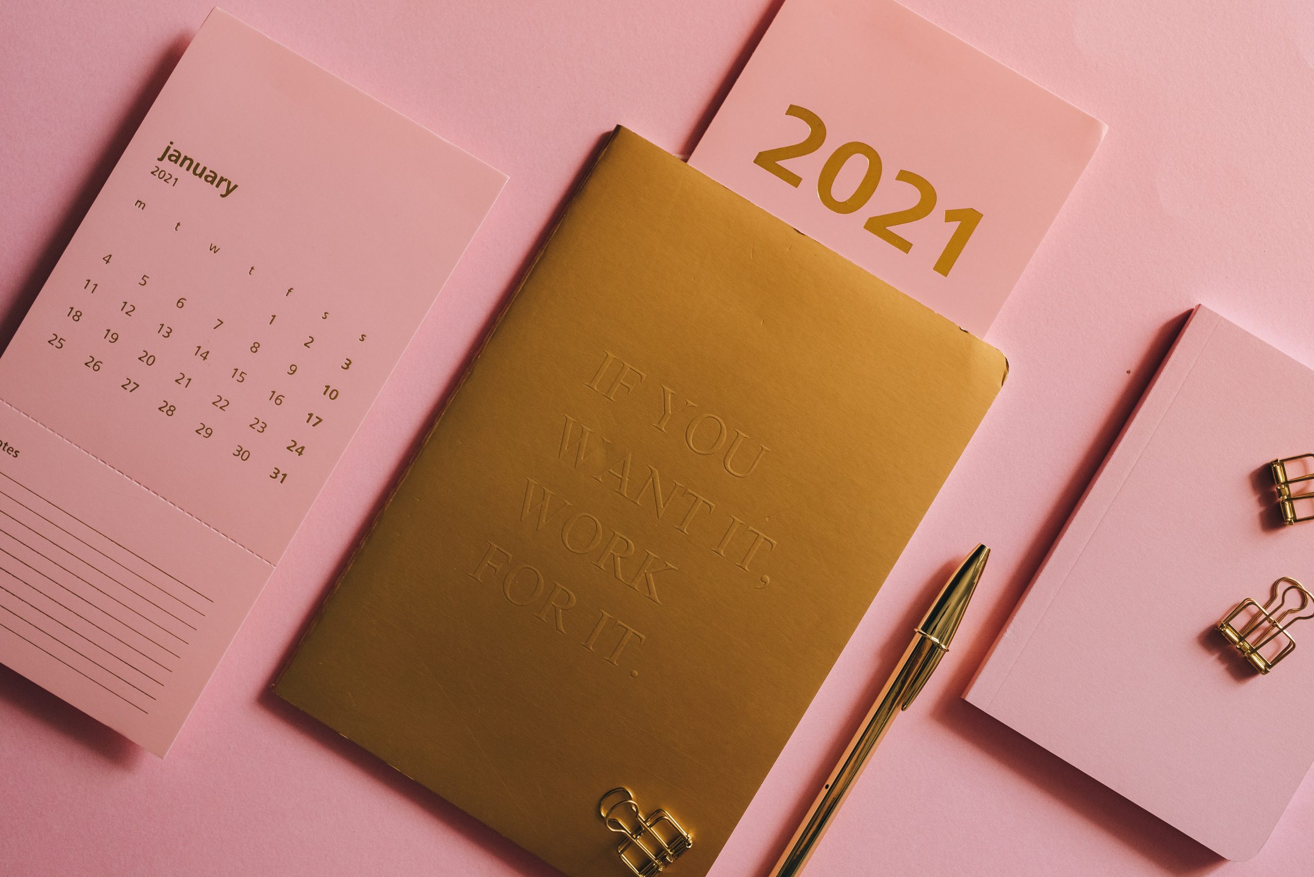 The Year After the Apocalypse: Software Releases 2021