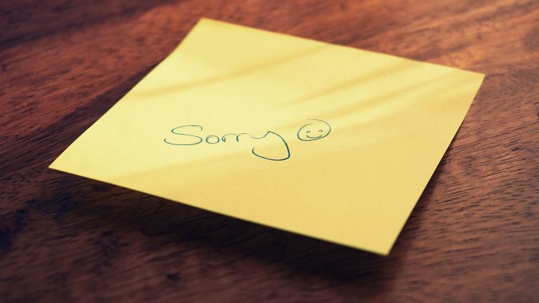 Sorry for the Inconvenience: Apology in Customer Service